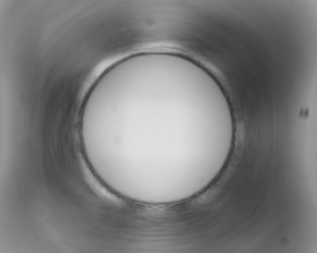 X0000113121470200908281029