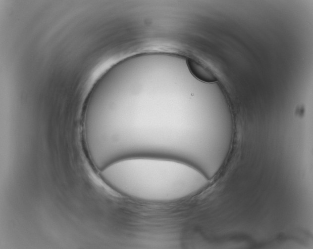 X0000113121471200908281029