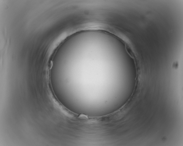 X0000113121472200908281029