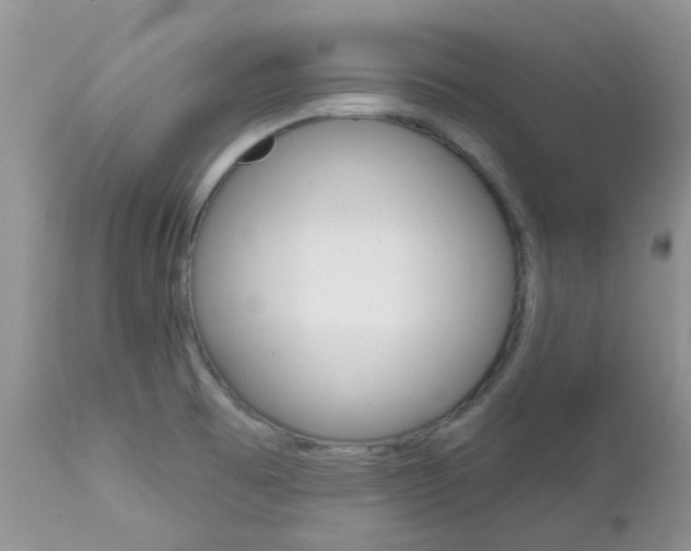 X0000113121473200908281029