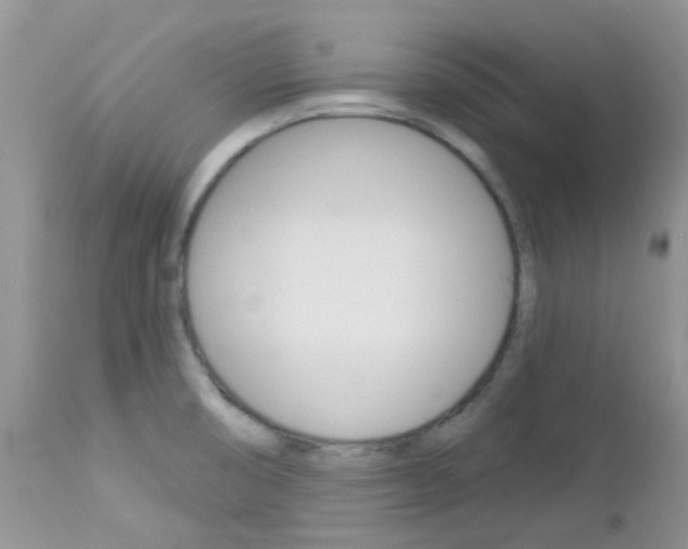 X0000113121474200908281029