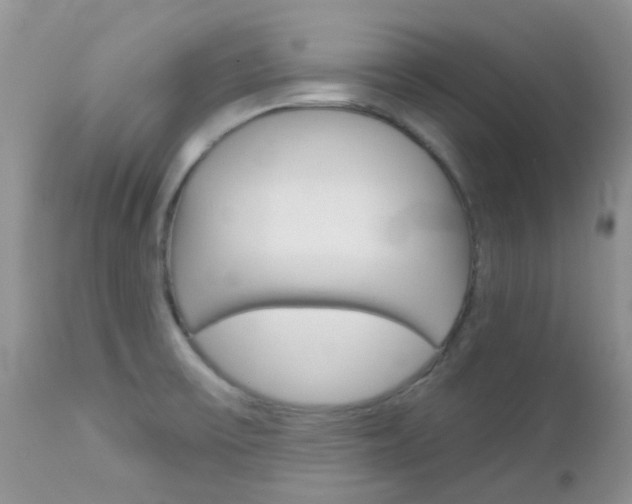 X0000113121475200908281029