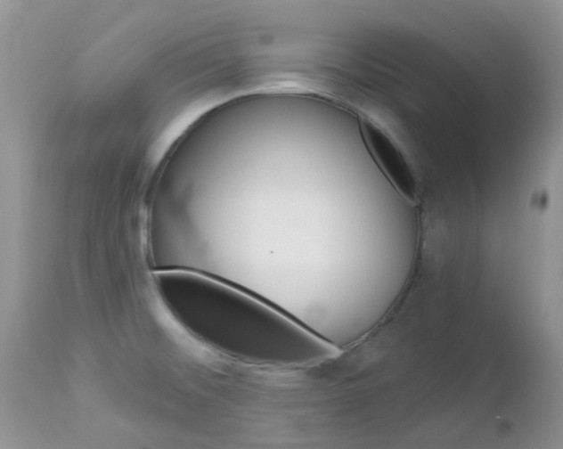 X0000113121476200908281029