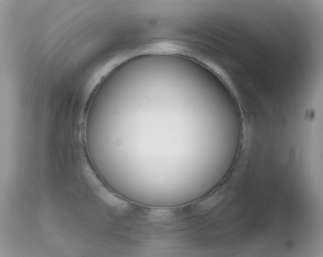 X0000113121477200908281029