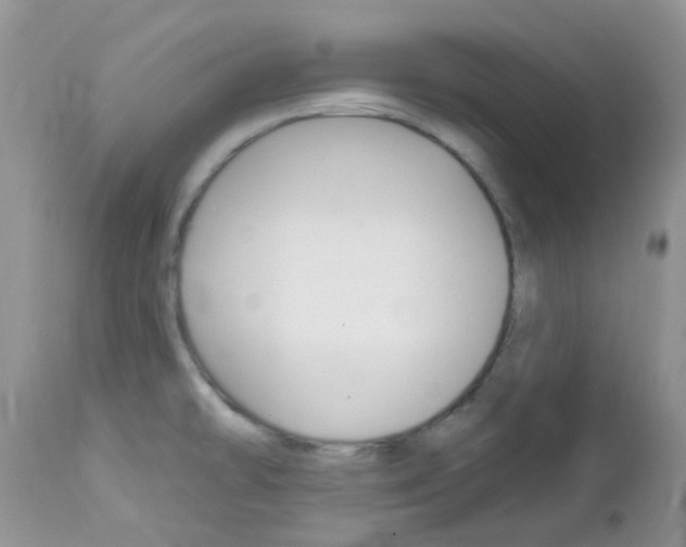 X0000113121478200908281029