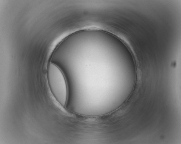 X0000113121480200908281029