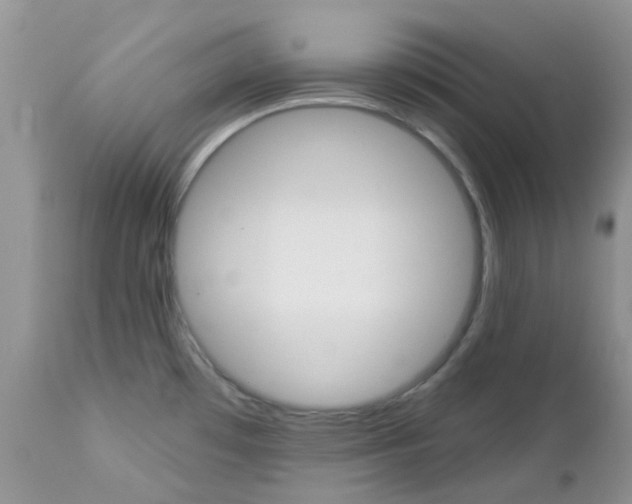 X0000113121481200908281029