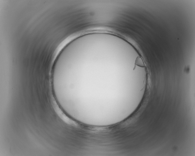 X0000113121482200908281029