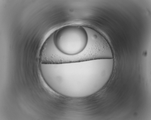X0000113121483200908281029