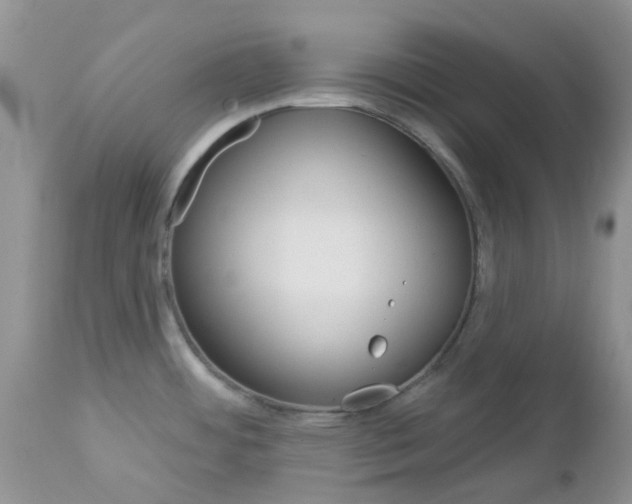 X0000113121484200908281029