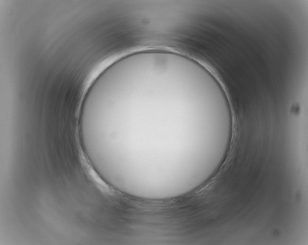 X0000113121485200908281029