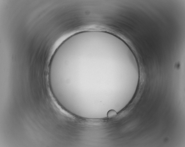 X0000113121486200908281029
