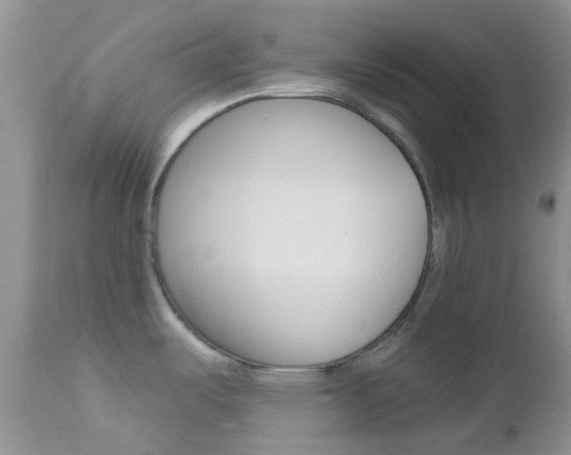 X0000113121487200908281029