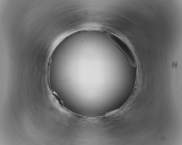 X0000113121488200908281029