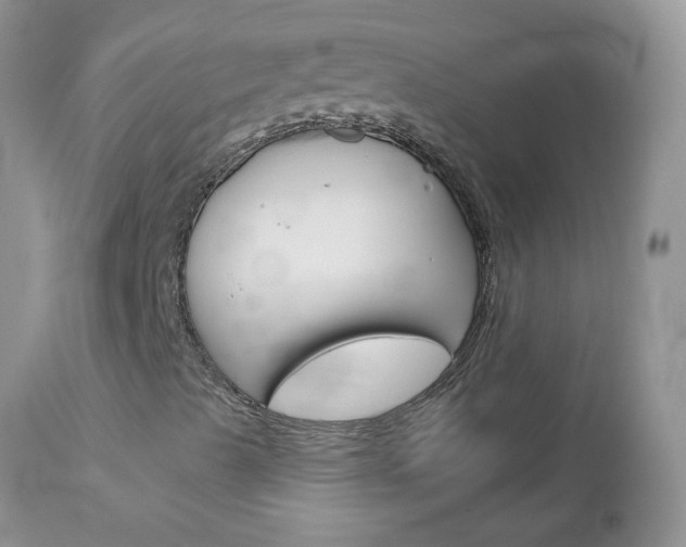 X0000113121489200908281028