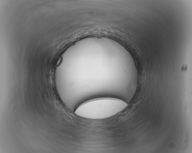 X0000113121490200908281028