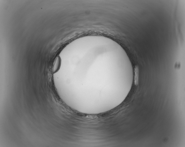 X0000113121491200908281028