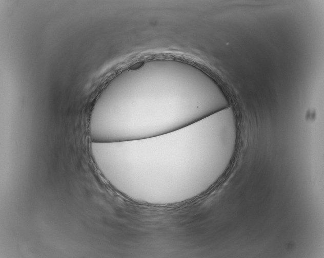 X0000113121494200908281028