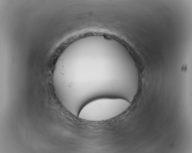 X0000113121495200908281028