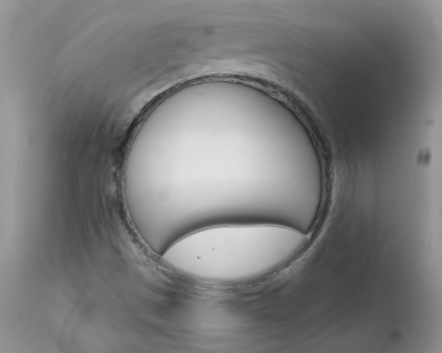 X0000113121497200908281028