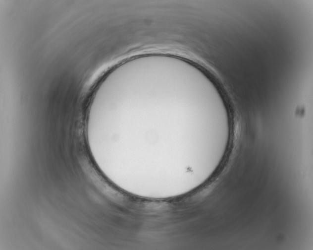 X0000113121498200908281028