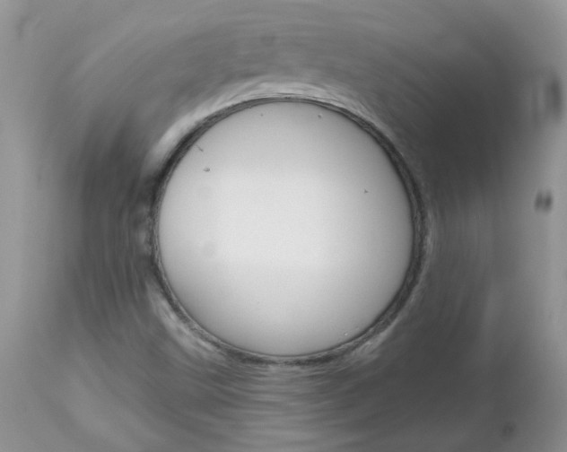 X0000113121499200908281028