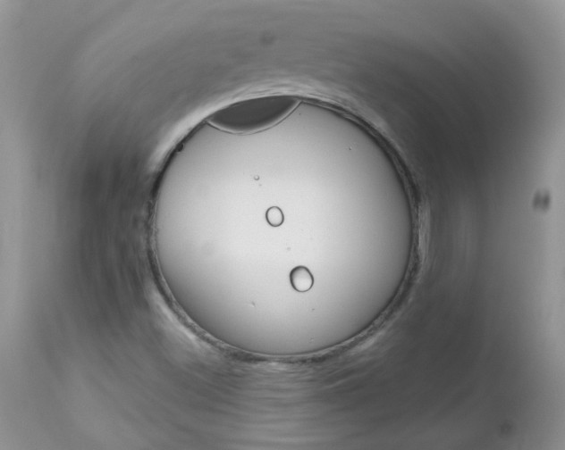 X0000113121500200908281028