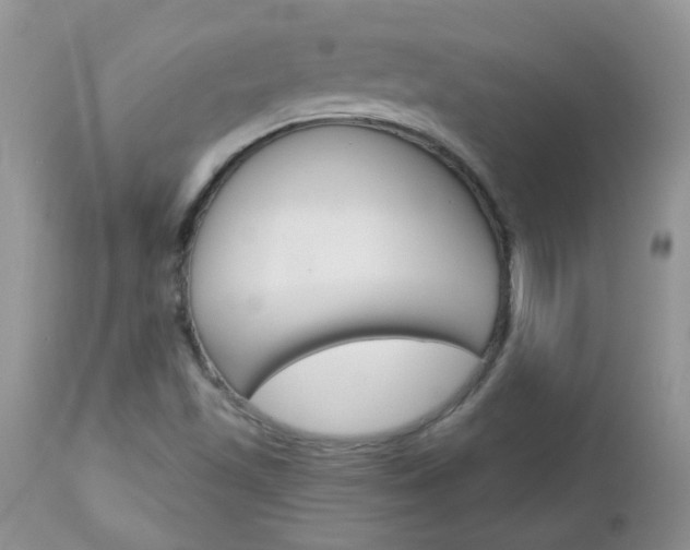 X0000113121501200908281028