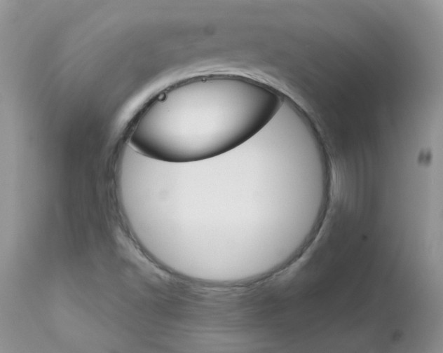 X0000113121502200908281028