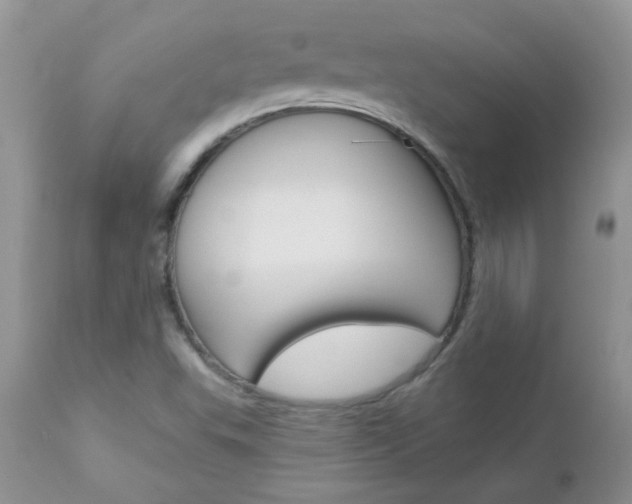 X0000113121503200908281028
