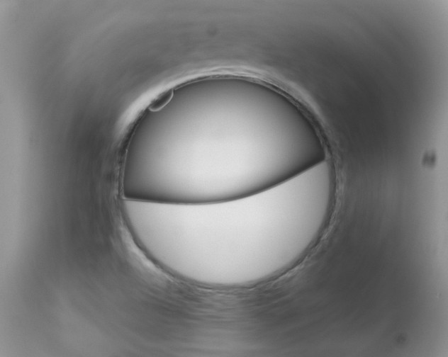 X0000113121504200908281028
