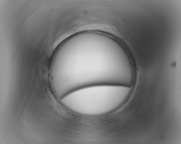X0000113121505200908281028