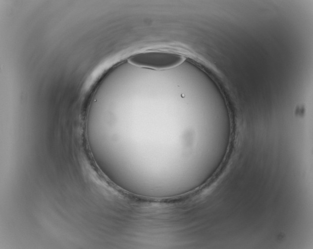 X0000113121506200908281029