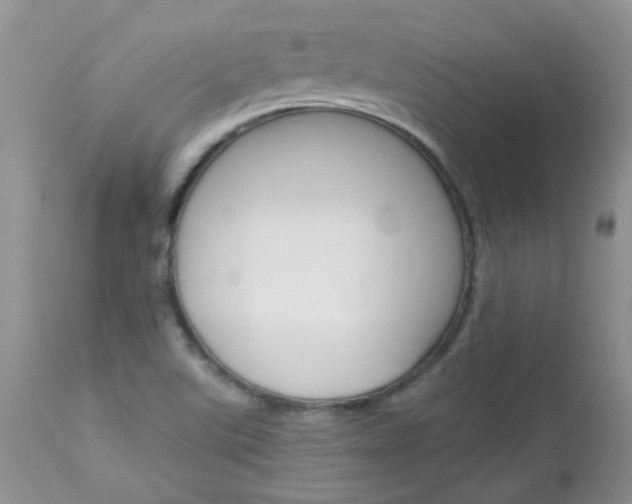 X0000113121507200908281029