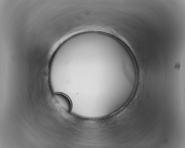 X0000113121508200908281029