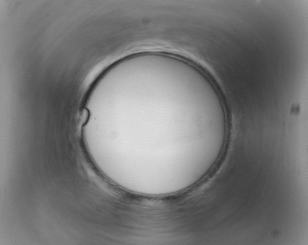 X0000113121509200908281029