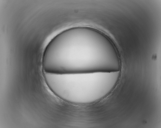 X0000113121512200908281029