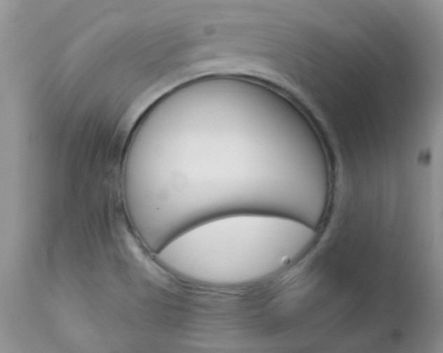 X0000113121513200908281029