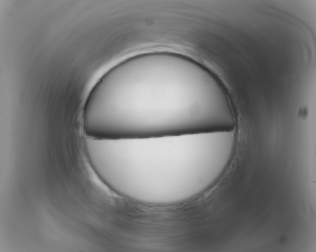 X0000113121516200908281029