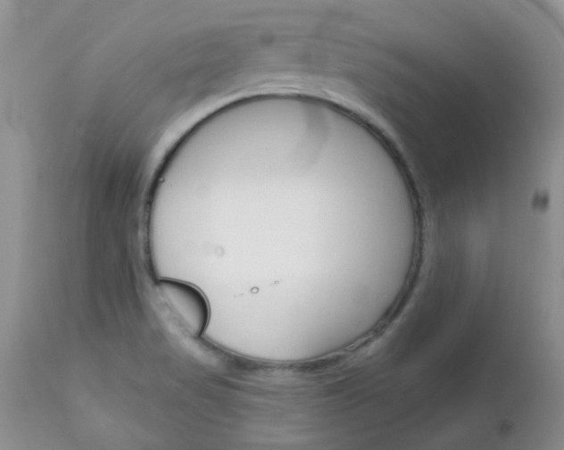 X0000113121517200908281029