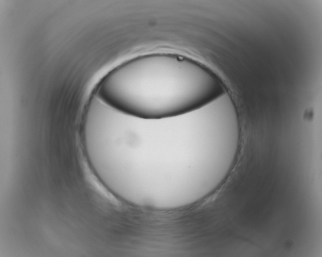 X0000113121518200908281029