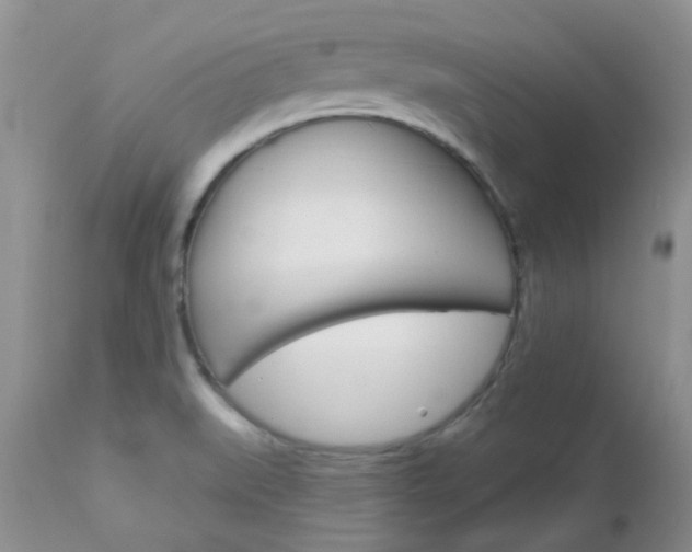 X0000113121519200908281029