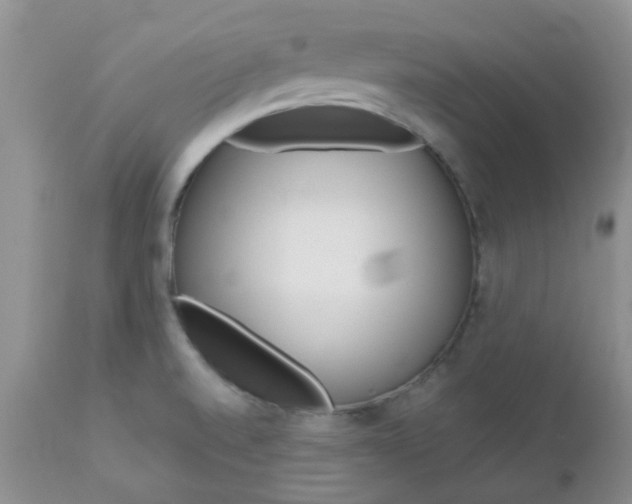 X0000113121520200908281029