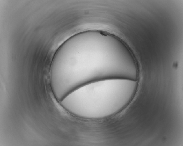 X0000113121521200908281029