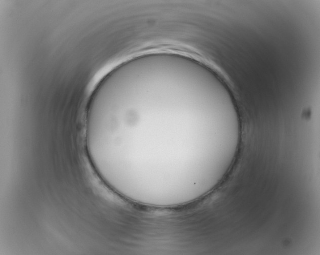 X0000113121522200908281029