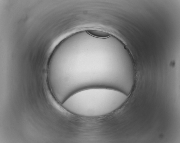 X0000113121523200908281029