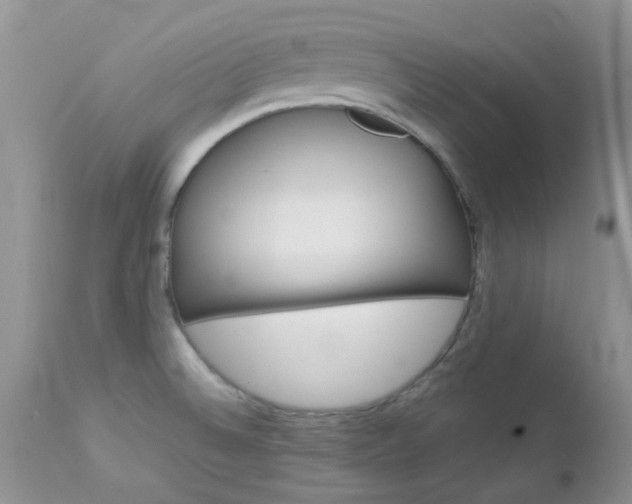 X0000113121524200908281029