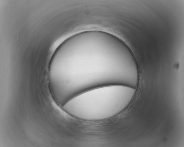 X0000113121527200908281029