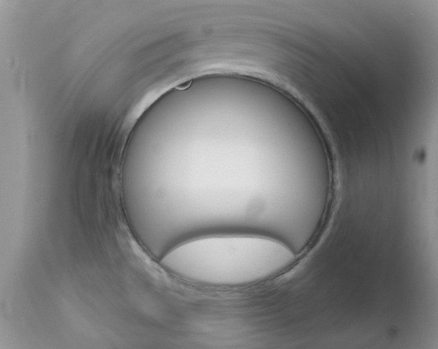X0000113121529200908281029