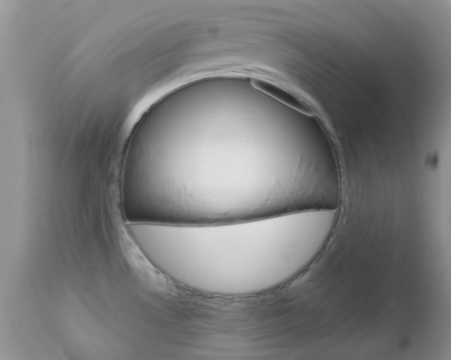 X0000113121530200908281029